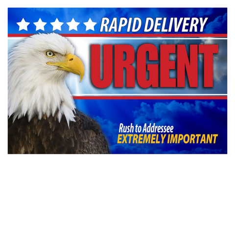6 x 9 Xpress Envelopes. Eagle Series. XE5104